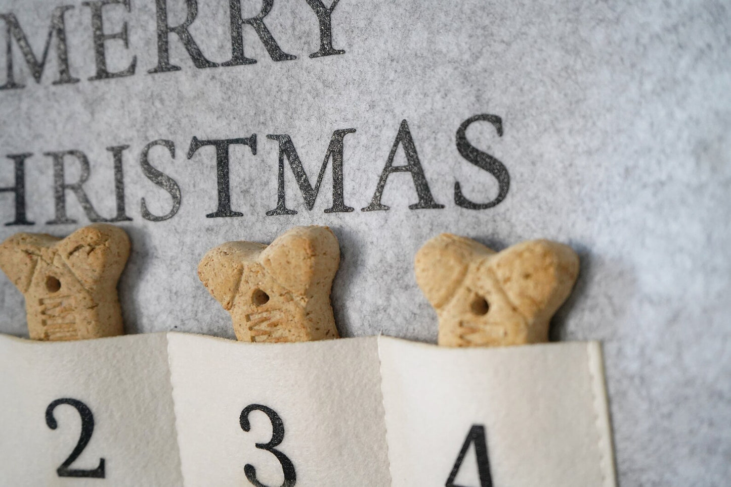 Pet Advent Calendars - 4 Colors - Second East LLC