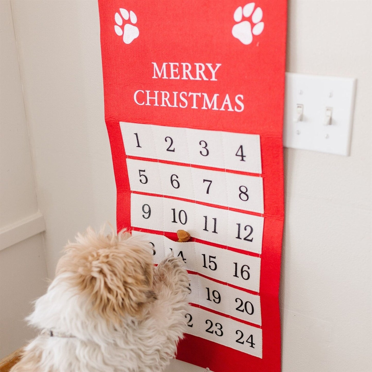Pet Advent Calendars - 4 Colors - Second East LLC